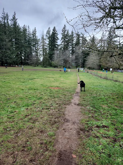 Fenced Off-Leash Dog Park 3