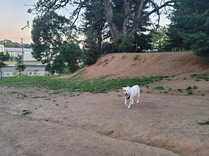 Clark County Dog Park 1