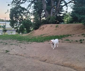 Clark County Dog Park