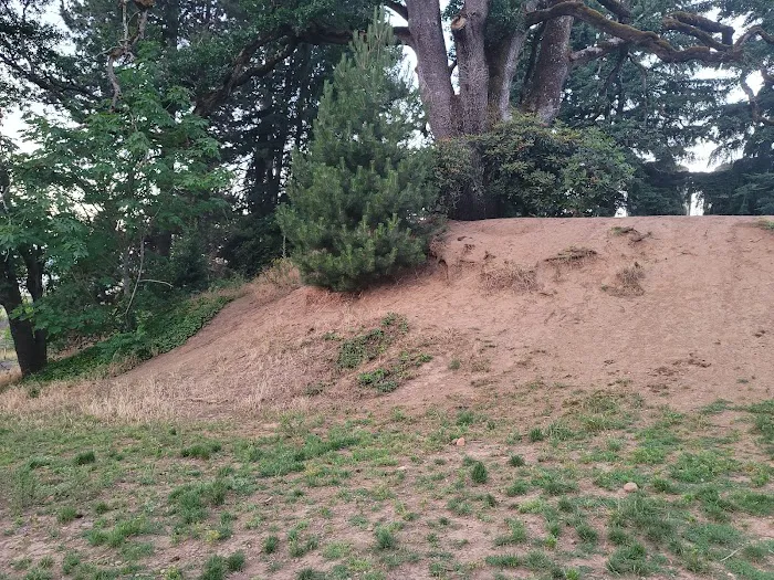 Clark County Dog Park 2