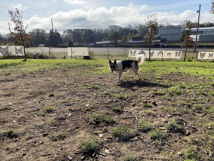 Clark County Dog Park 9