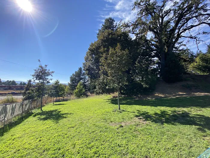 Clark County Dog Park 6