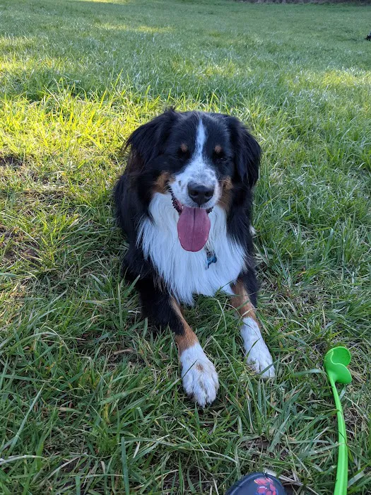 Winkelman Dog Park 2