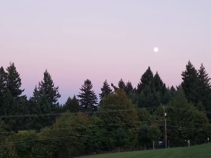 Winkelman Dog Park 1