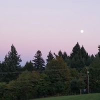 Winkelman Dog Park ico