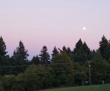 Winkelman Dog Park
