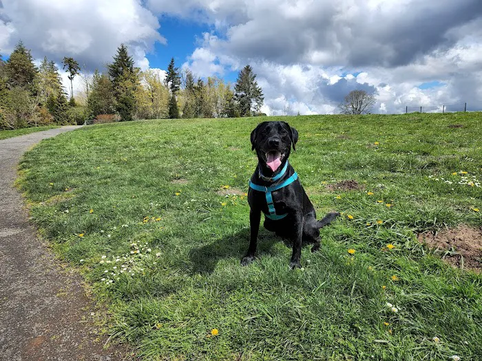 Winkelman Dog Park 9