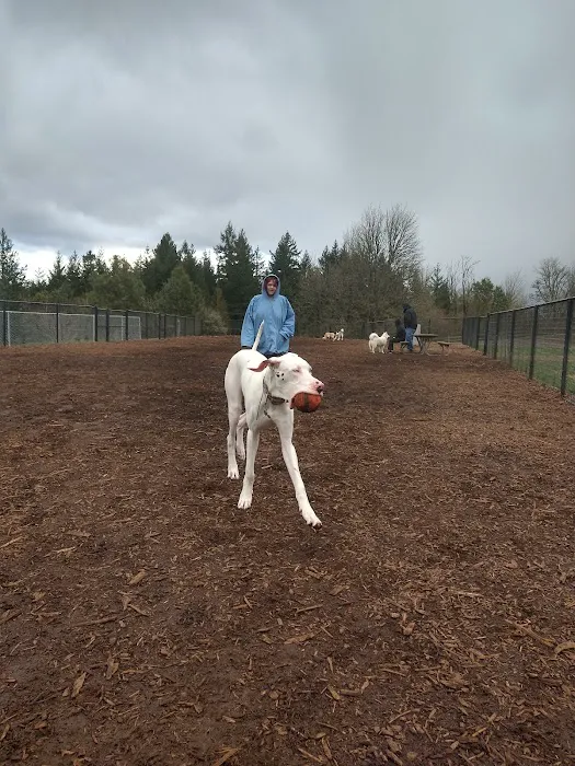 Winkelman Dog Park 7