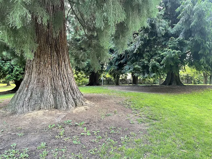 Argay Dog Park Off-Leash Area 7