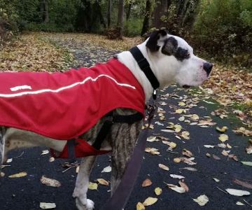Hazeldale Park