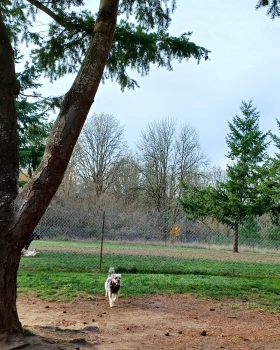 Hazeldale Park 7