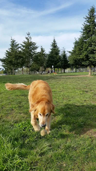 Hazeldale Park 8