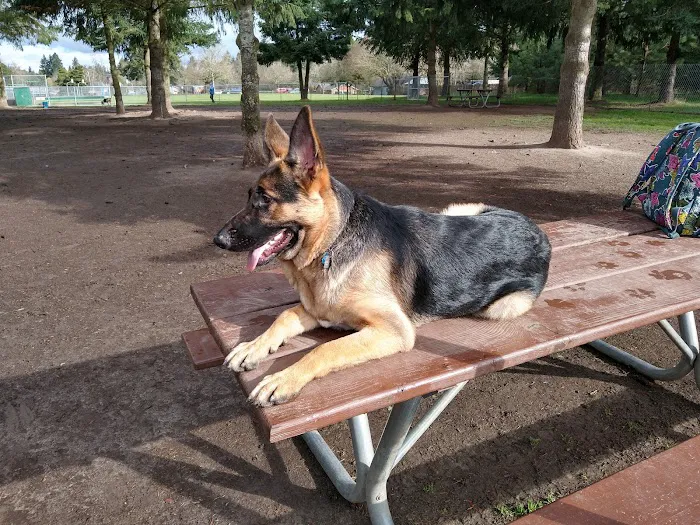 Hazeldale Park 10
