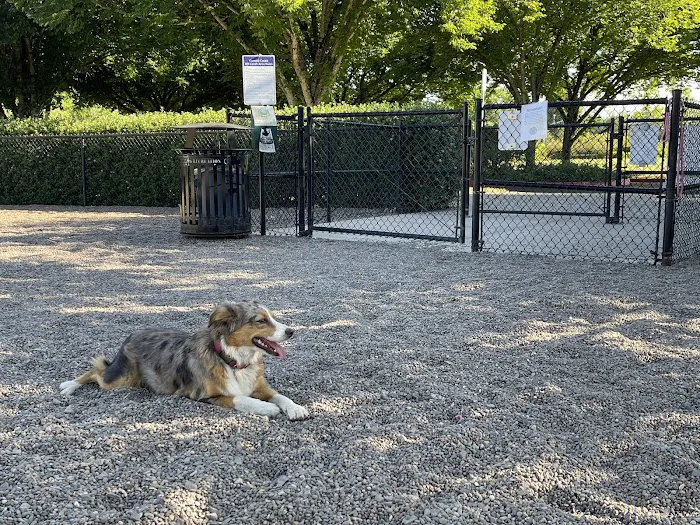Cornell Creek Dog Park 3