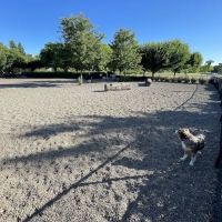 Cornell Creek Dog Park ico