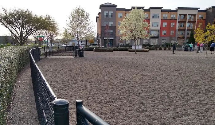 Cornell Creek Dog Park 5