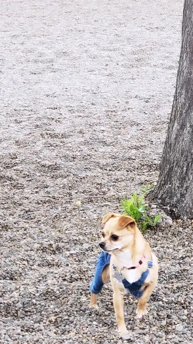 Cornell Creek Dog Park 4