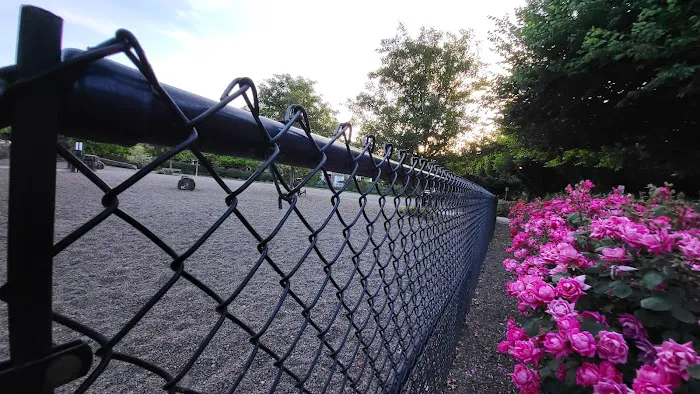 Cornell Creek Dog Park 8