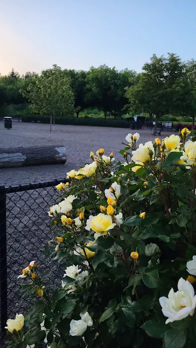 Cornell Creek Dog Park 9