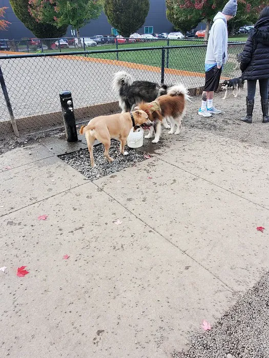 Hondo Dog Park 1