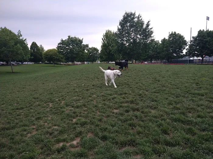 Hondo Dog Park 2