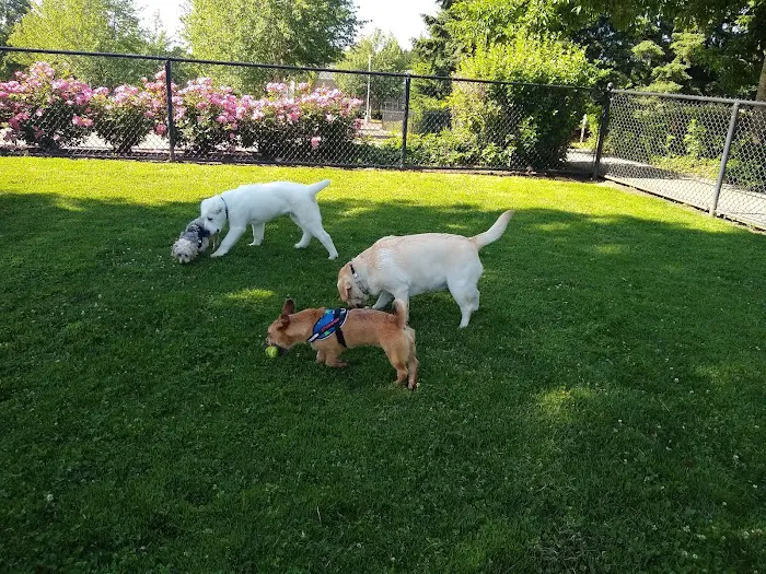 Hondo Dog Park 10