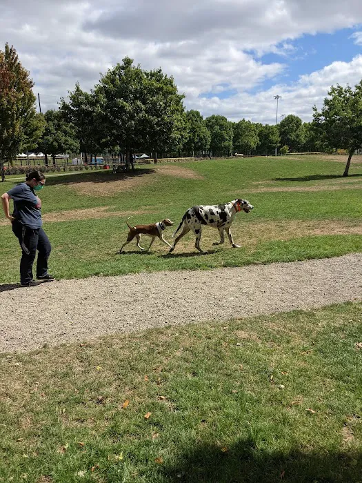 Hondo Dog Park 8