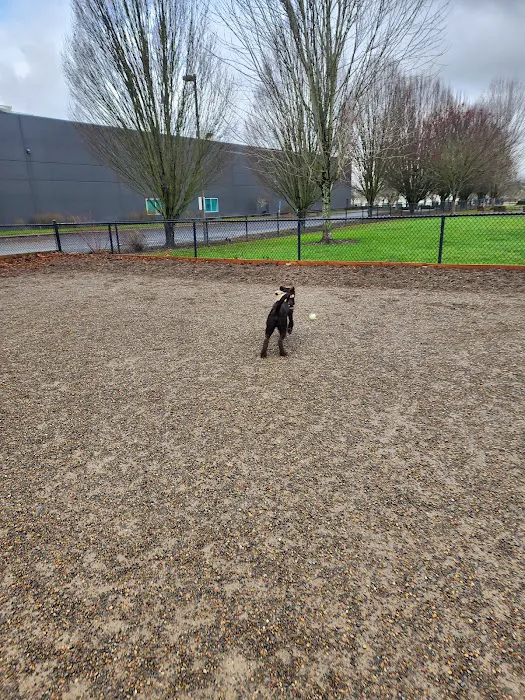 Hondo Dog Park 7