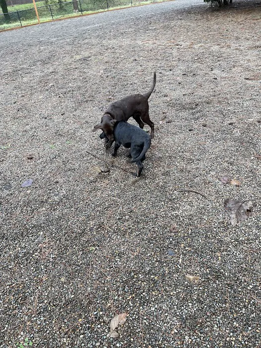 Ash meadows (fenced) dog park 1