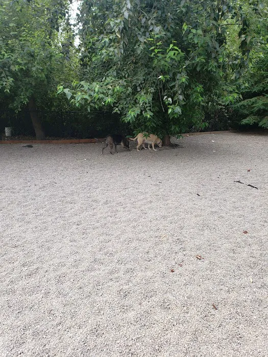 Ash meadows (fenced) dog park 3