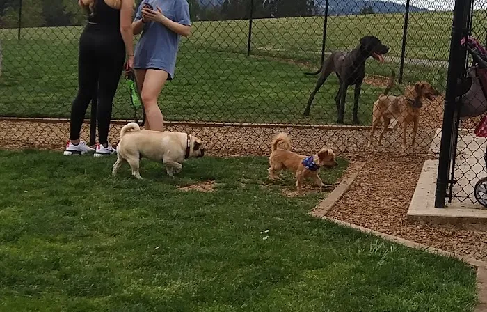 Sherwood Dog Park 4
