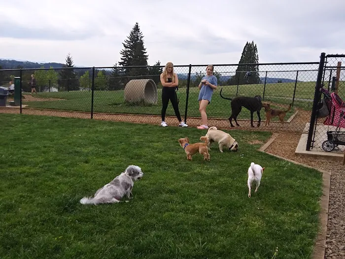 Sherwood Dog Park 5