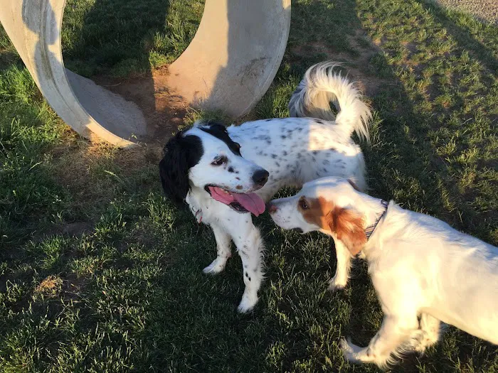 Sherwood Dog Park 2