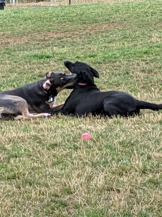 Sherwood Dog Park 1