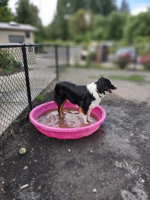 Memorial Dog Park 1