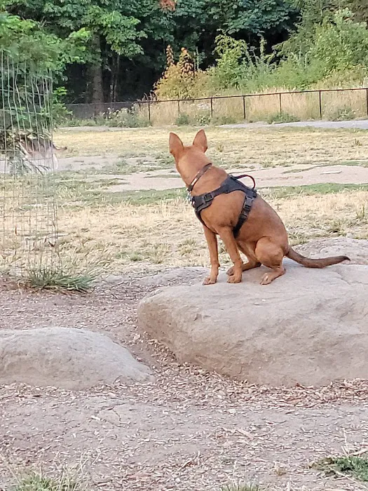 Memorial Dog Park 4