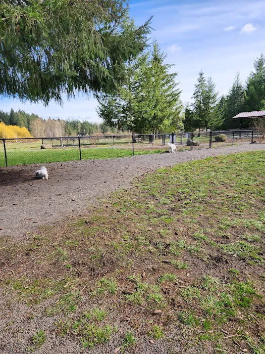 Memorial Dog Park 7
