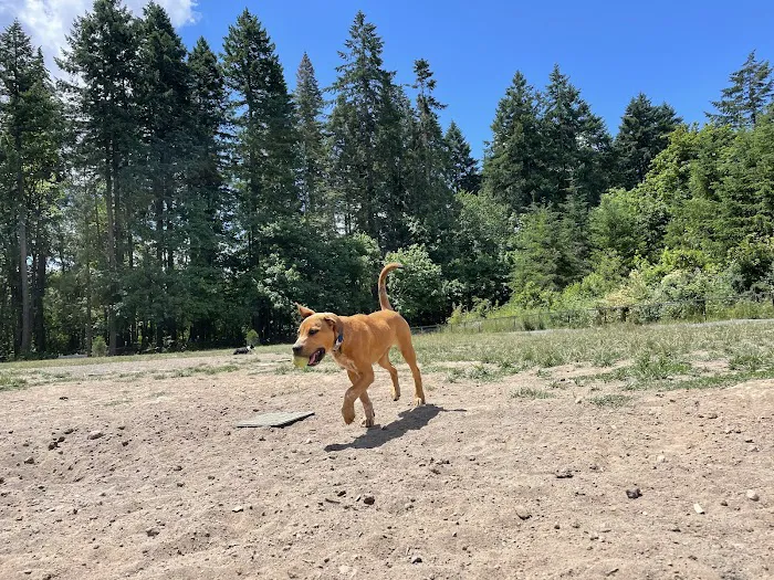 Memorial Dog Park 6