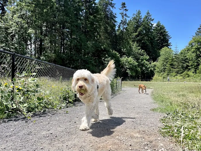 Memorial Dog Park 10