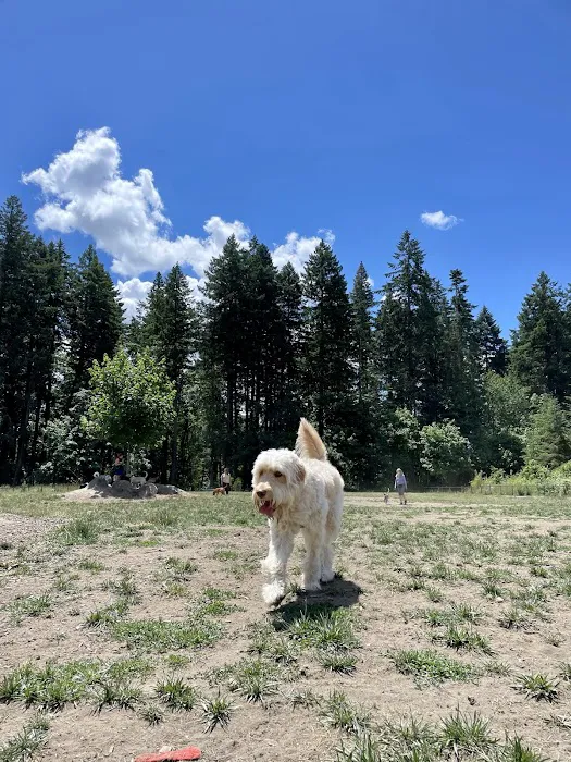 Memorial Dog Park 3