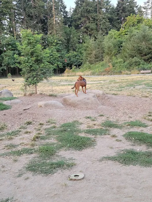 Memorial Dog Park 9