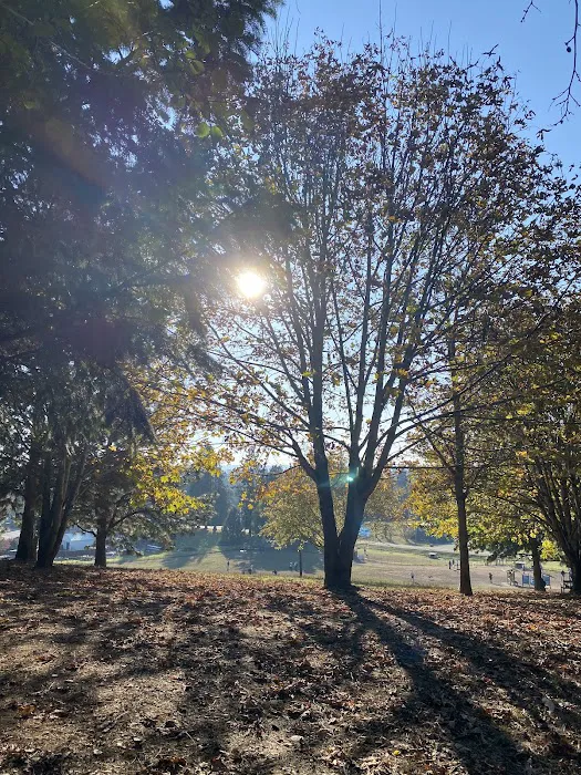 Ike Memorial Park 3