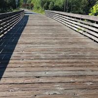 Main City Park - Dog Park ico