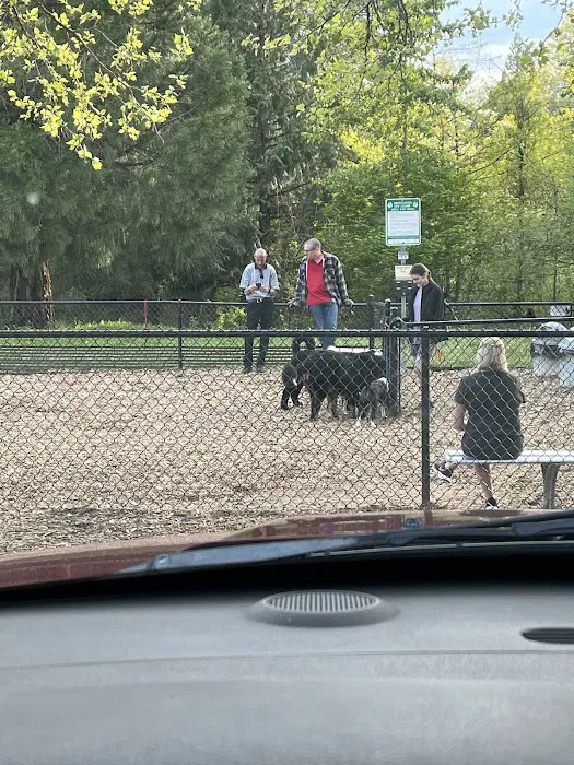 Main City Park - Dog Park 10