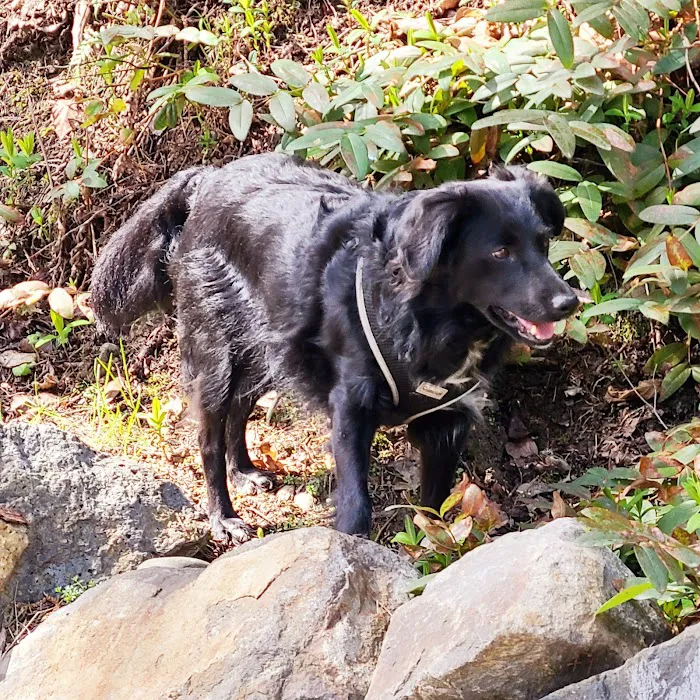 Tyrone S. Woods Memorial Park 9