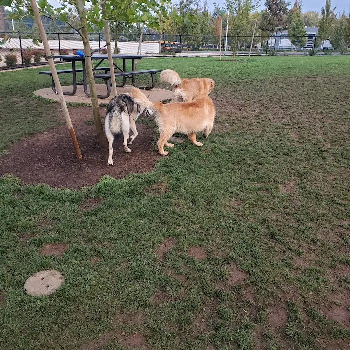 Tyrone S. Woods Memorial Park 3