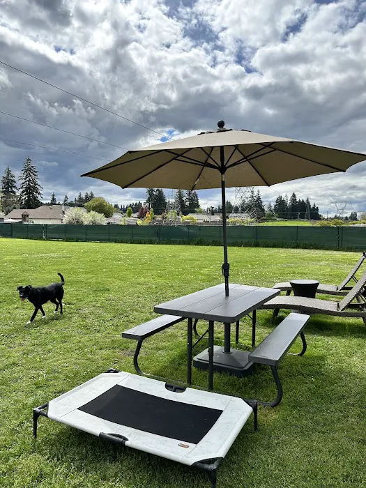 Open Acres Private Dog Park Rental 1