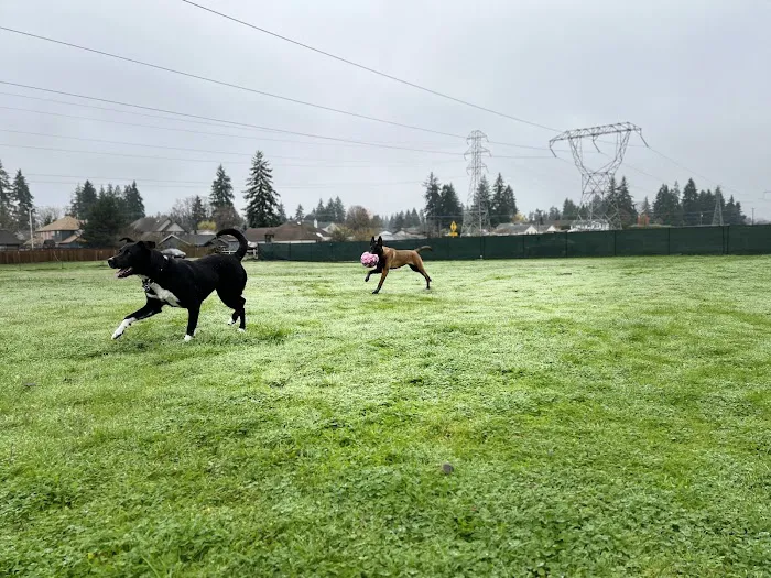 Open Acres Private Dog Park Rental 3