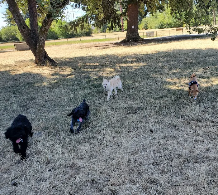 Dakota Dog Park 5