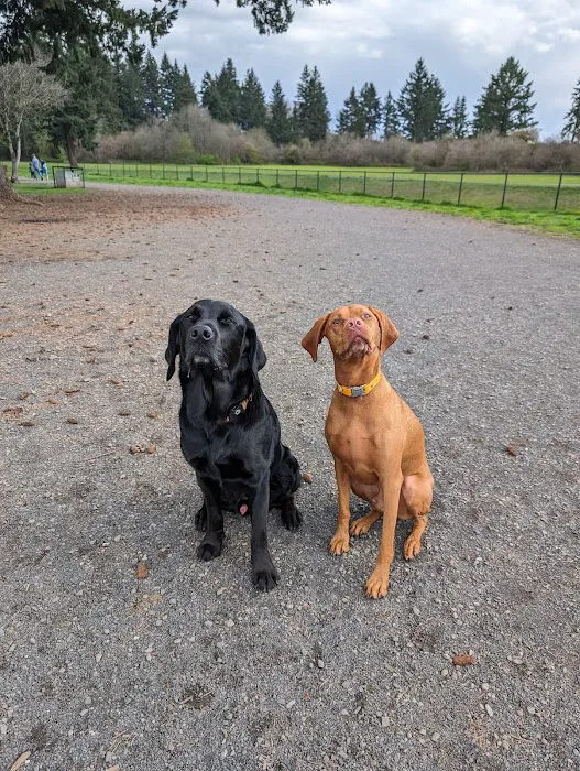 Dakota Dog Park 6